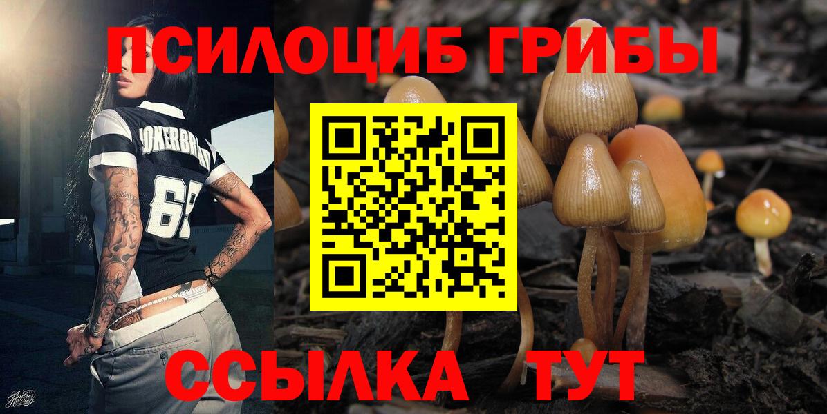 Улан-Удэ  Псилоцибиновые грибы MAGIC MUSHROOMS  Псилоцибиновые грибы Magic Shrooms  Вход с VPN 